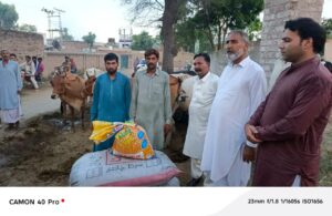 WhatsApp Image 2025-09-08 at 11.50.51 PM